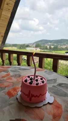 سوییسی دل آسا