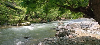 چوبی‌ میربلوک کنار رودخانه