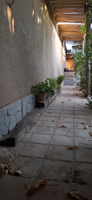 طبیعت نزدیک به جنگل ابر