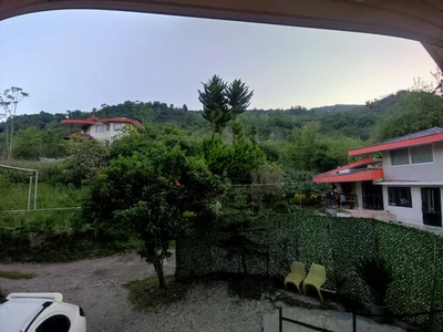 سوئیسی آهوان