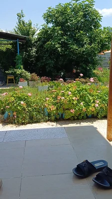 ماه تی تی 