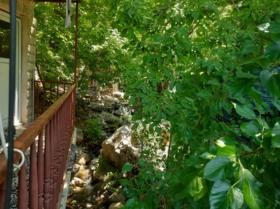 جیژوان (1)