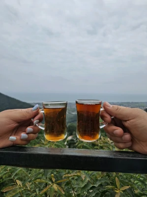 سوئیسی رویایی اربکله
