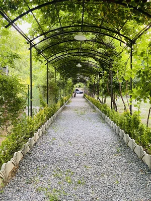 مالگاسیتی شرقی