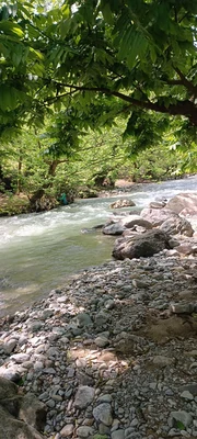 چوبی‌ میربلوک کنار رودخانه