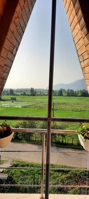 سوئیسی صفری