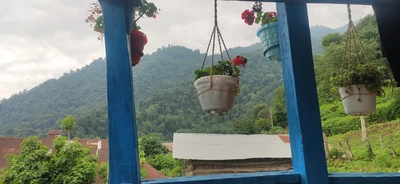 جنگلی کمیل