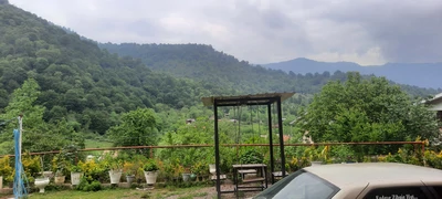 جنگلی امیر 2 (طبقه همکف)