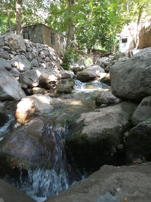 جیژوان (1)