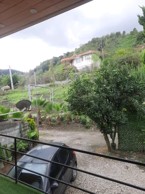 سوئیسی آهوان