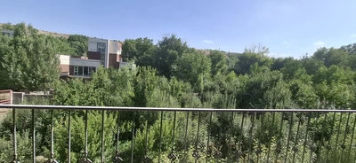 باغ یاس