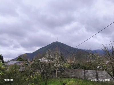 نقیبی