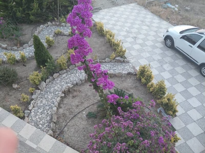 ساحلی آرام