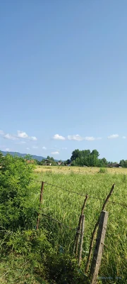 خیرخواه