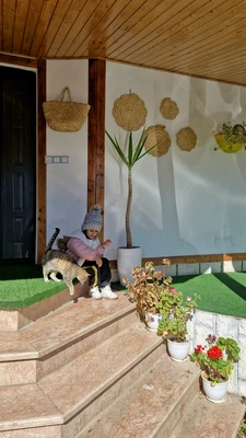 باغچه دنج