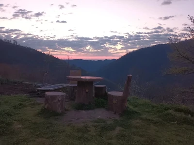 سنتی جنگلی سپیدار