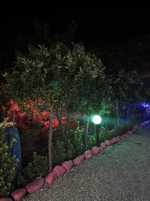 پدر بزرگ