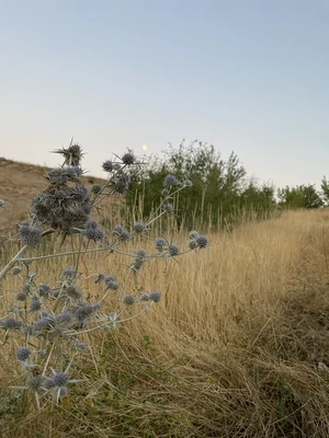 مبله با تراس دلنشین