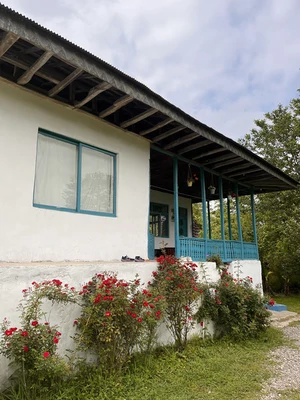 پرچین طلایی