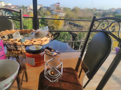 ویلایی ارکیده