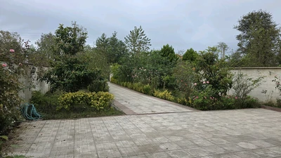 دریا