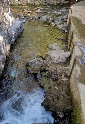 هانه‌ کوان