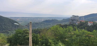 جنگلی استخردار آبگرم بام اربکله