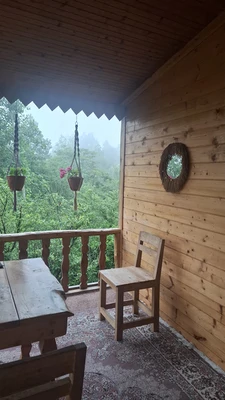 جنگلی ساره بانو