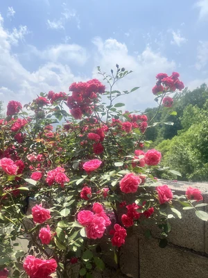 حراتی با جکوزی