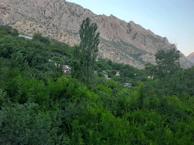 جیژوان (1)