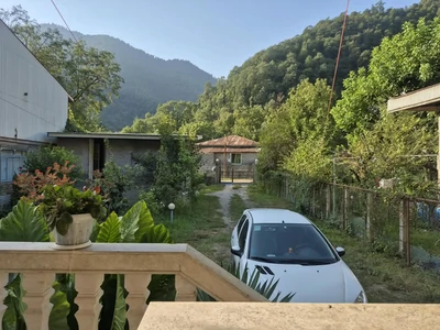 آفتابگردان