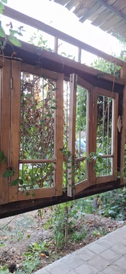 طبیعت نزدیک به جنگل ابر
