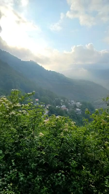روستایی 