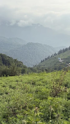 ماهان