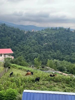  آیسام با جکوزی