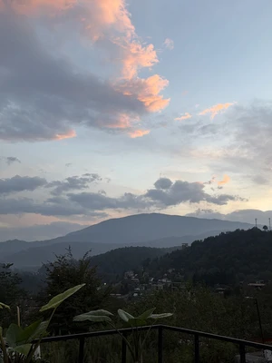 جنگلی لمیز با جکوزی