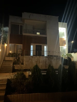 محمدمهدی  