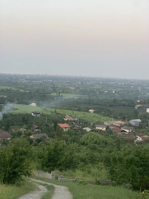 سوئیسی آهوان