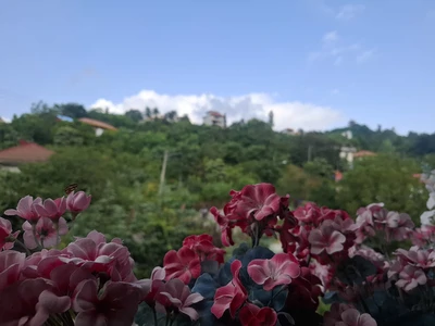 مهرآریا با جکوزی