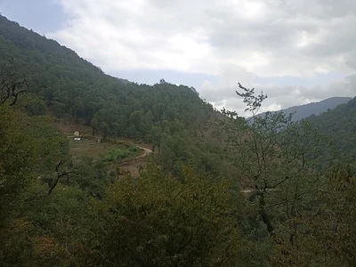 سوئیسی آیدن