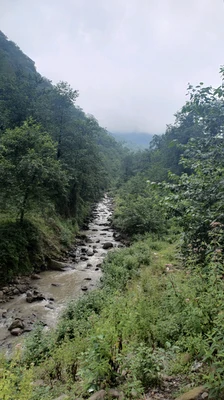 سوئیسی خاتون 