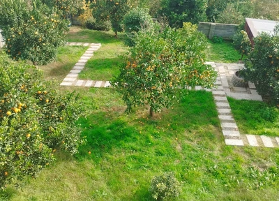 بام رامسر با جکوزی