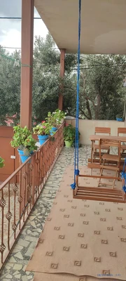 بهار و باران 