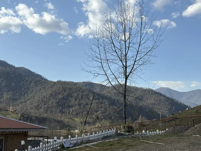 سوئیسی آیدن