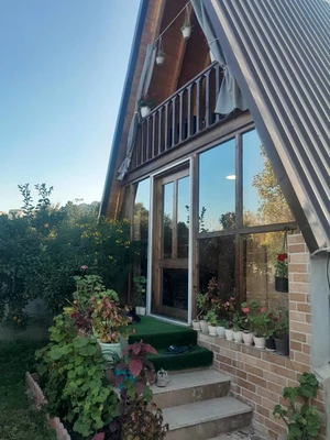 سوئیسی ارغوان