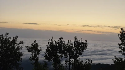 چوبی ابرها