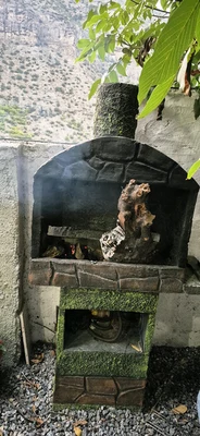 جنگلی مقتدایی