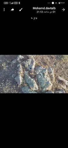 تصویر 4 - ویلا خانه گاه گلی داوطلب در دیلمان