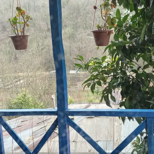تصویر 2 - اقامتگاه بوم‌گردی بوم گردی  در لنگرود