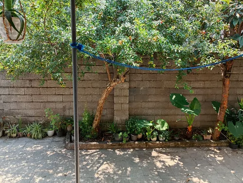 تصویر 26 - ویلا فلکه گاز در  رشت